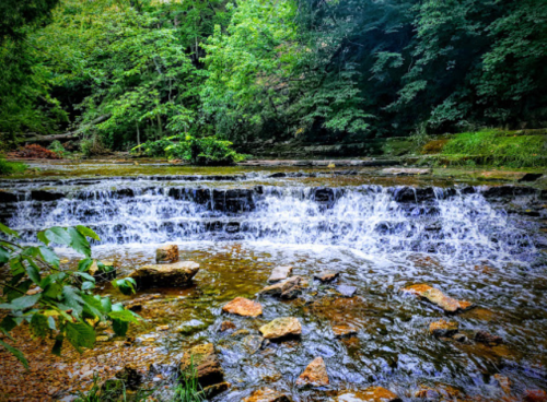 A serene stream flows over rocks, surrounded by lush green trees and foliage in a peaceful natural setting.