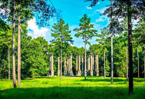 A cluster of tall stone columns surrounded by lush green trees and grass under a bright blue sky.