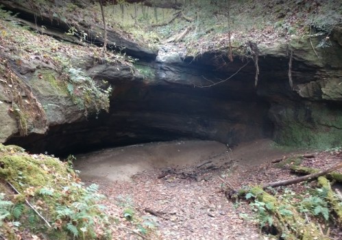 A natural rock cave entrance surrounded by greenery and fallen leaves in a forested area.