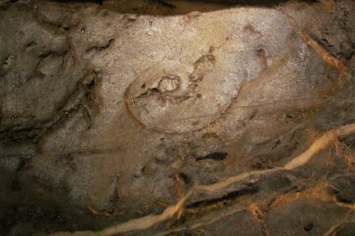 Ancient rock carving featuring a spiral design on a textured stone surface.