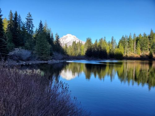 A serene lake reflects a snow-capped mountain, surrounded by lush green trees under a clear blue sky.