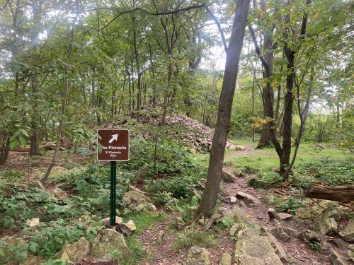 A trail sign pointing towards "The Pinnacle" amidst a wooded area with rocks and trees.