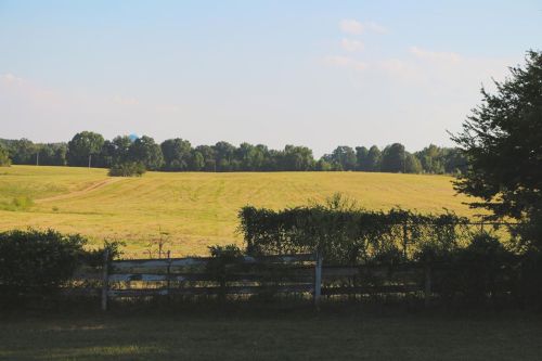 A serene landscape featuring a grassy field bordered by trees and a wooden fence under a clear blue sky.