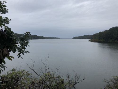 A calm, gray river scene surrounded by trees under overcast skies, with gentle ripples on the water's surface.