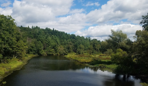 A serene river winding through lush green trees under a partly cloudy blue sky.