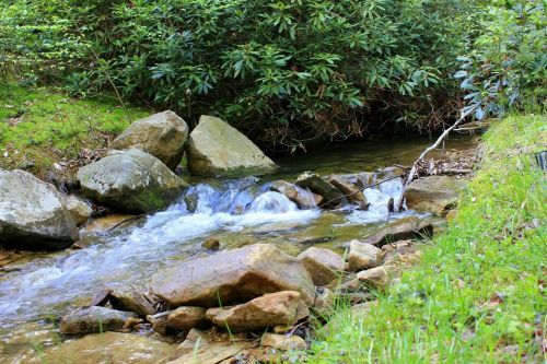 A serene stream flows over rocks, surrounded by lush greenery and shrubs in a peaceful natural setting.