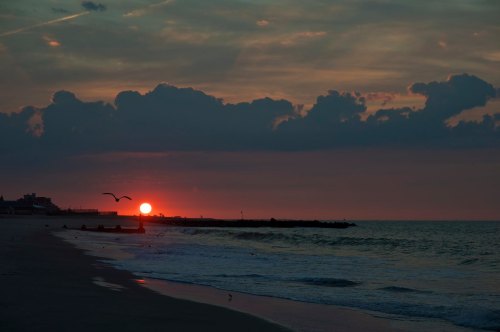 A serene beach at sunset, with clouds in the sky and gentle waves lapping at the shore. Silhouetted birds fly above.