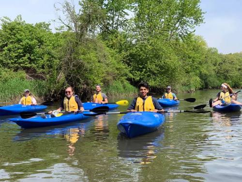 A group of six people in blue kayaks paddling on a calm river surrounded by lush greenery.