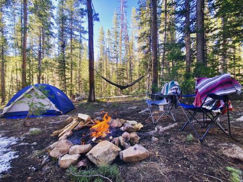 A campsite in a forest with a tent, chairs, a hammock, and a campfire surrounded by trees.