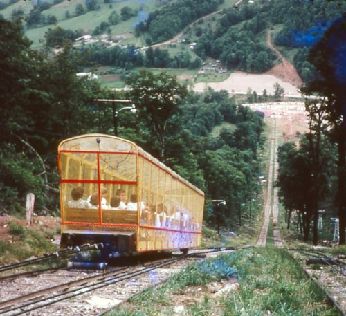 A vintage yellow tram descends a steep hill, with passengers visible inside, surrounded by lush greenery.