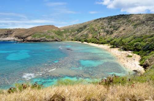 A scenic view of a beach with turquoise waters, surrounded by green hills and rocky cliffs under a blue sky.