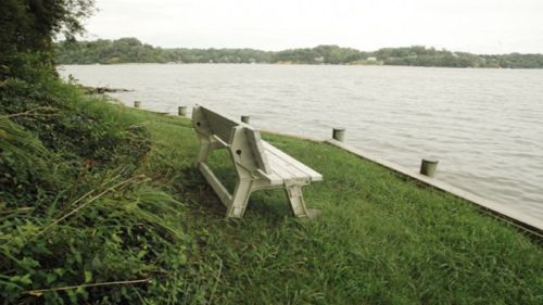 A wooden bench sits on grassy land beside a calm lake, surrounded by trees and a cloudy sky.