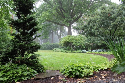 A lush, green garden with trees and shrubs, shrouded in mist, creating a serene and tranquil atmosphere.