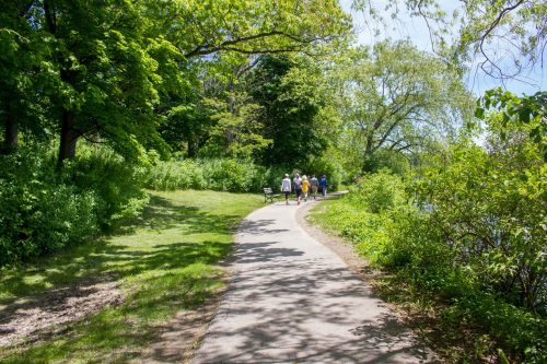 A scenic path lined with greenery, where a group of people strolls along a lakeside. Sunlight filters through the trees.