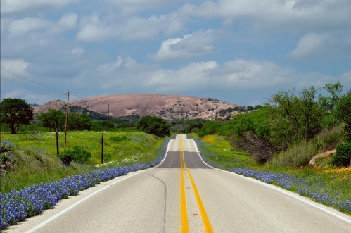 A winding road lined with wildflowers leads to a large rocky hill under a cloudy sky.