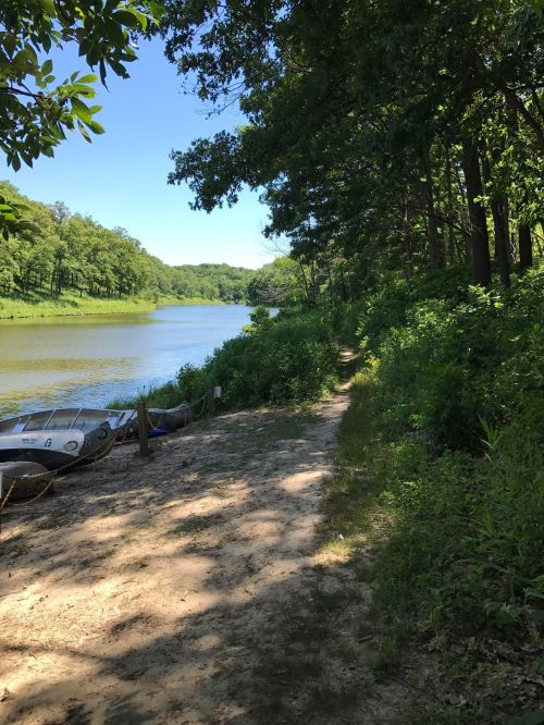 A serene riverbank path lined with trees, leading to a calm waterway with small boats moored nearby.
