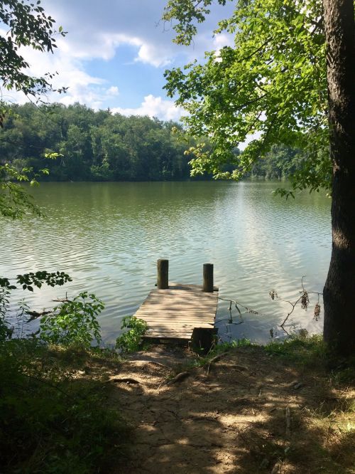 A serene lake view with a wooden dock surrounded by lush greenery and trees under a partly cloudy sky.