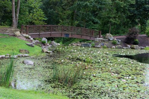 A serene pond with lily pads and a wooden bridge surrounded by lush greenery and rocks.
