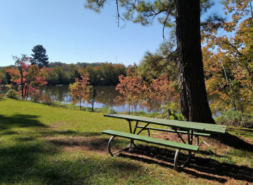 A green picnic table by a calm lake surrounded by colorful autumn trees under a clear blue sky.