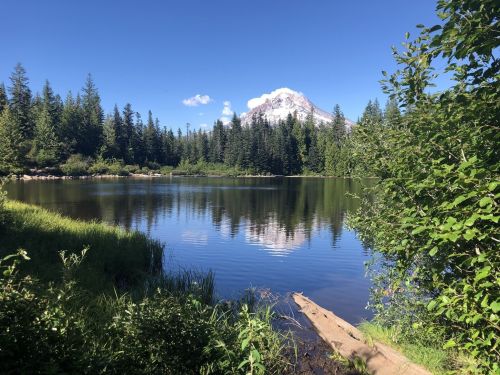 A serene lake surrounded by lush trees, with a snow-capped mountain in the background under a clear blue sky.
