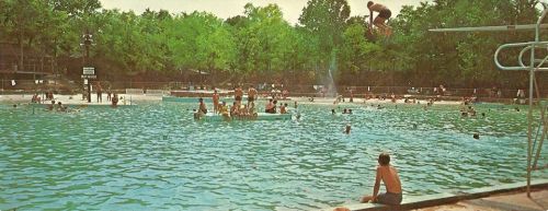 A lively outdoor swimming pool scene with people swimming, diving, and relaxing under trees on a sunny day.