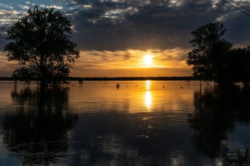 Sunset over a flooded landscape, with trees silhouetted against the shimmering water and a cloudy sky.