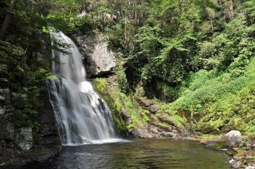 A serene waterfall cascading into a calm pool, surrounded by lush greenery and rocky terrain.