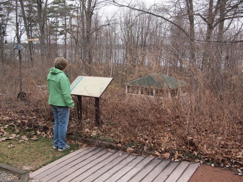 A person in a green jacket reads an informational sign near a gazebo, surrounded by bare trees and dry foliage.