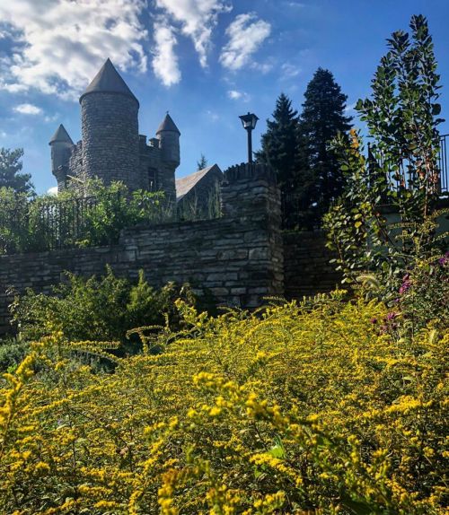 A stone castle with towers surrounded by vibrant yellow flowers and greenery under a blue sky with clouds.