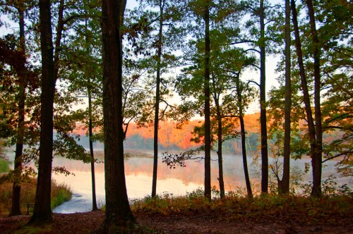 A serene lake surrounded by trees, reflecting autumn colors at sunrise with mist rising from the water.