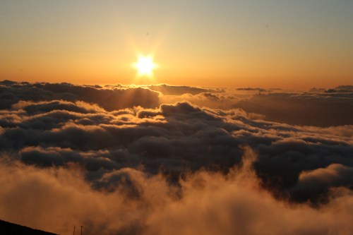 Sunrise over a sea of clouds, with soft golden light illuminating the horizon and misty cloud formations.