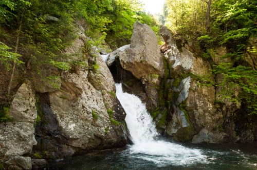 A serene waterfall cascading over rocky cliffs, surrounded by lush green trees and a tranquil pool below.