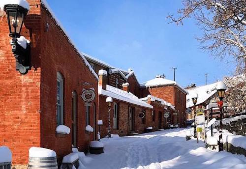 Snow-covered brick buildings line a quiet street under a clear blue sky, with lampposts and trees dusted in white.