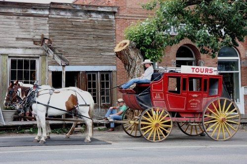 A horse-drawn carriage labeled "TOURS" parked in front of an old building, with a driver and a passenger seated inside.