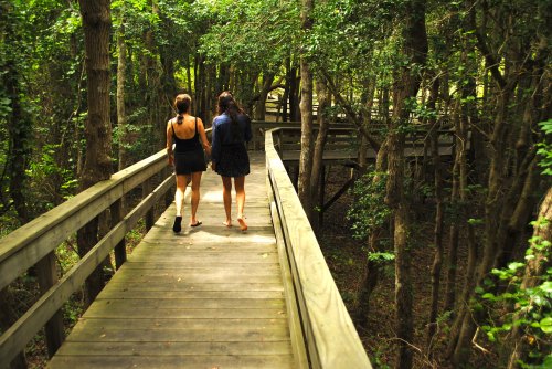 Two women walk along a wooden boardwalk through a lush, green forest.