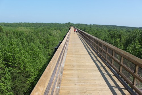 A wooden walkway stretches over lush green trees, with two people walking in the distance under a clear blue sky.