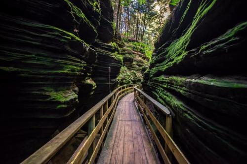 A wooden walkway winds through a lush, green canyon with steep, moss-covered rock walls and trees above.