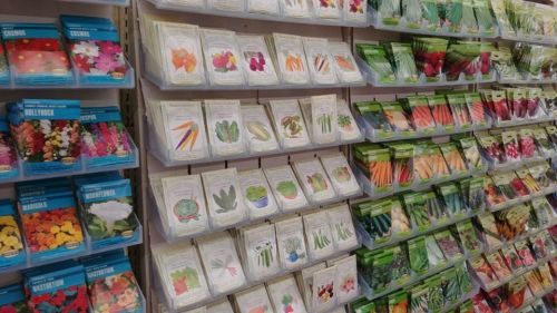 A display of various seed packets arranged on shelves, featuring flowers and vegetables in colorful packaging.