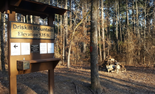 Sign for Driskill Mountain at 535 ft elevation, surrounded by trees and a stack of firewood nearby.