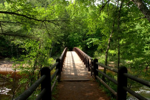 A wooden bridge surrounded by lush green trees, leading over a calm river in a serene natural setting.