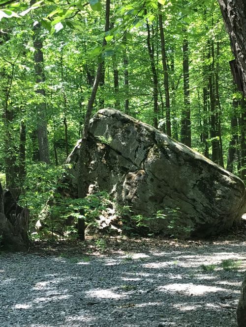 A large, tilted boulder surrounded by lush green trees in a forested area. Gravel path in the foreground.