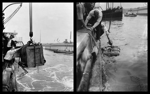 Two black-and-white images: one shows cargo being lifted from a boat, the other depicts a worker retrieving an object from water.