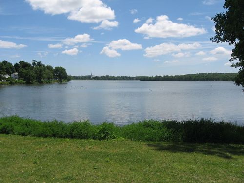 A serene lake surrounded by green grass and trees, with fluffy clouds in a blue sky reflecting on the water.