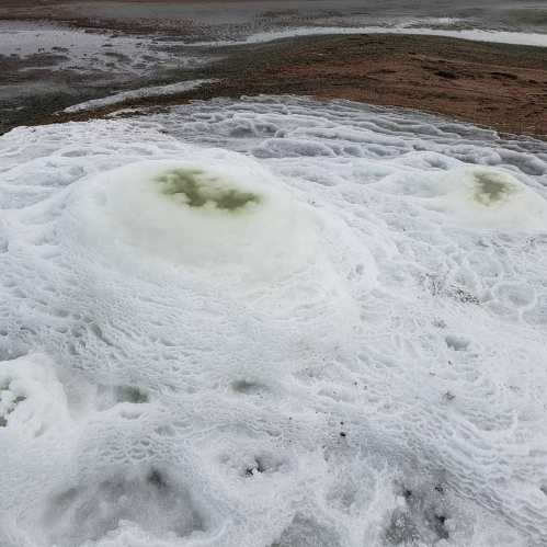 Foamy white bubbles with greenish centers on a wet surface, surrounded by brown and gray textures.