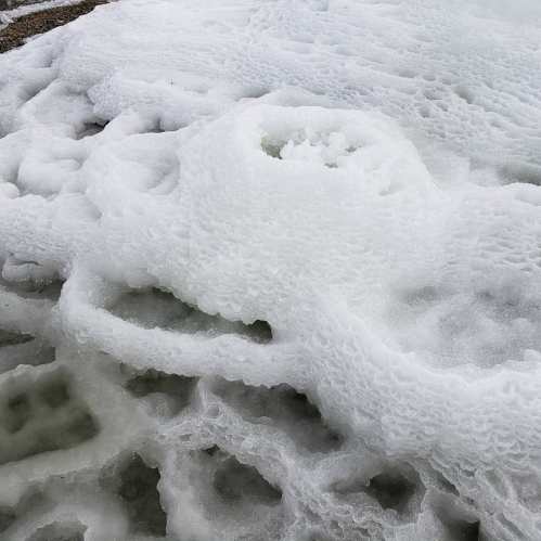 Close-up of white sea foam with intricate, bubbly textures on a sandy surface.