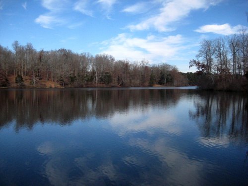 A serene lake reflecting blue skies and trees, surrounded by bare branches in a tranquil landscape.