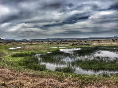 A serene landscape featuring a grassy field with small ponds under a cloudy sky. Mountains are visible in the distance.