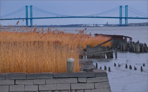 A view of a bridge over water, with tall grasses in the foreground and remnants of a structure along the shore.