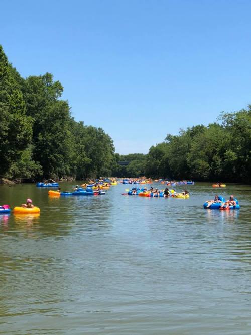 A river scene filled with people floating on colorful inner tubes, surrounded by lush green trees under a clear blue sky.