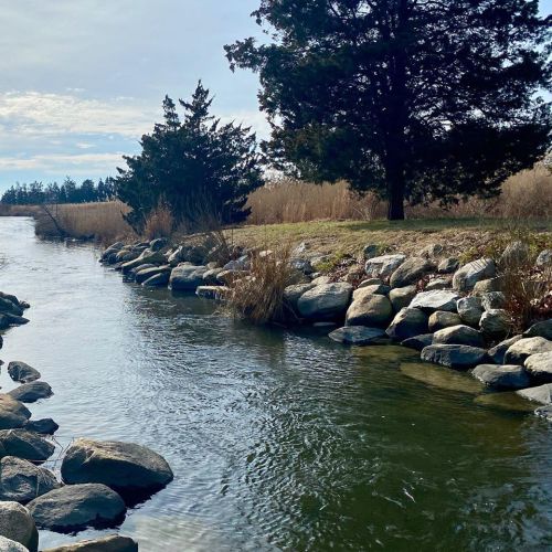 A serene river flows between rocky banks, with trees and tall grass lining the shore under a cloudy sky.